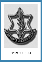 גבין דוד אריה