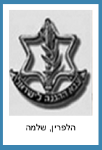 הלפרין שלמה